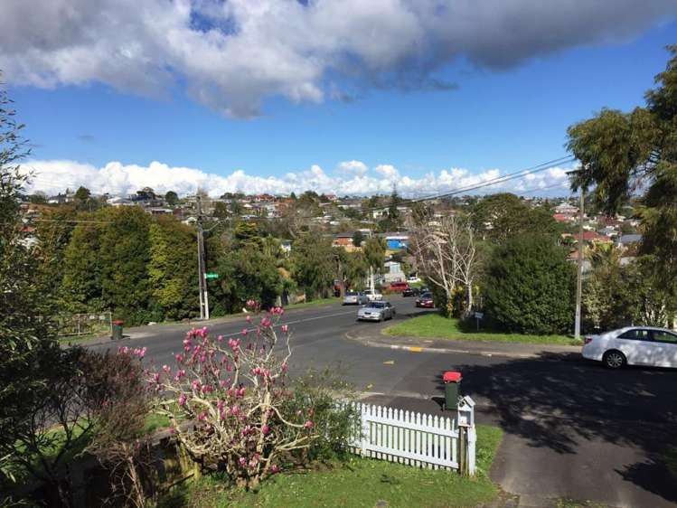 12 Leinster Street New Windsor_14