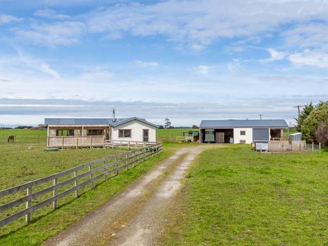 361 Whales Line Marton_1