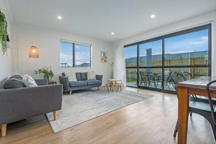 23 George Street Bulls_4