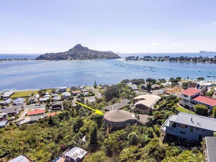 12 Pine Grove Tairua_16