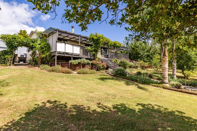 17 Poplar Lane Kerikeri_3