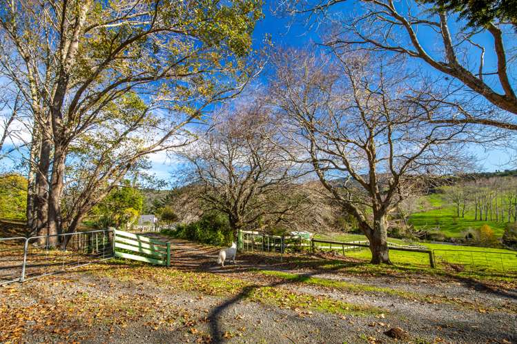 2450 Kopu Hikuai Sh25a Road Hikuai_24