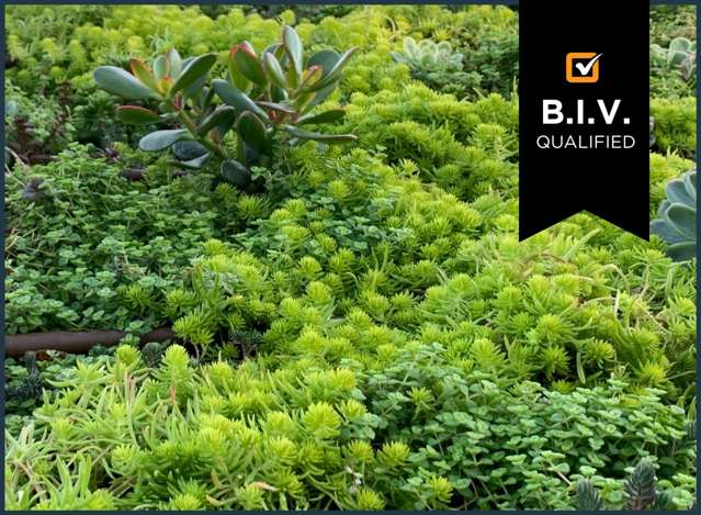 Address withheld Wellington Central_1