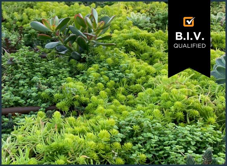 Address withheld Wellington Central_1