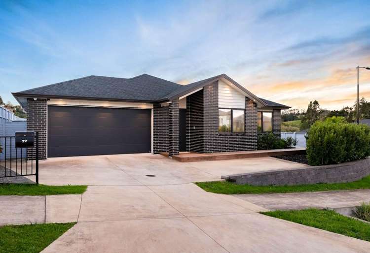 22 Kauri Gum Rise Swanson_14