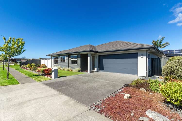 41 Wharerangi Road Greenmeadows_10