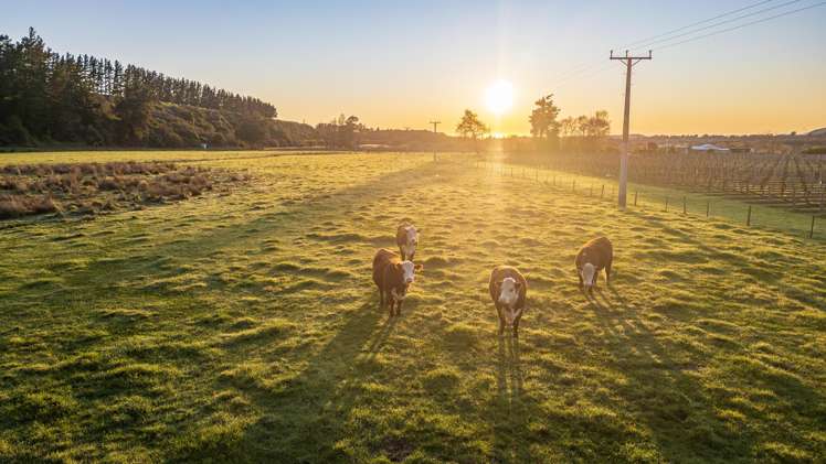 823 Awatere Valley Road Awatere Valley_27