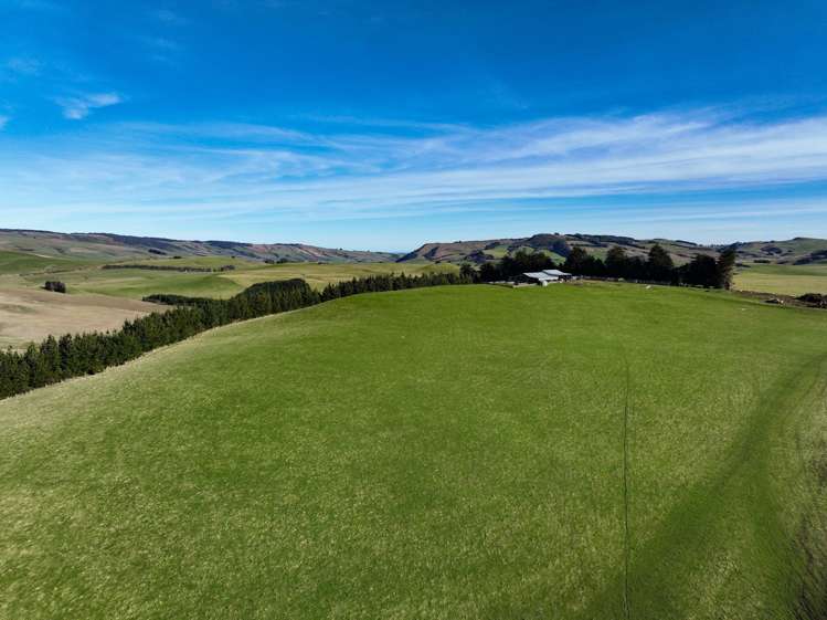 Hole and Corner Road Ferndale_8