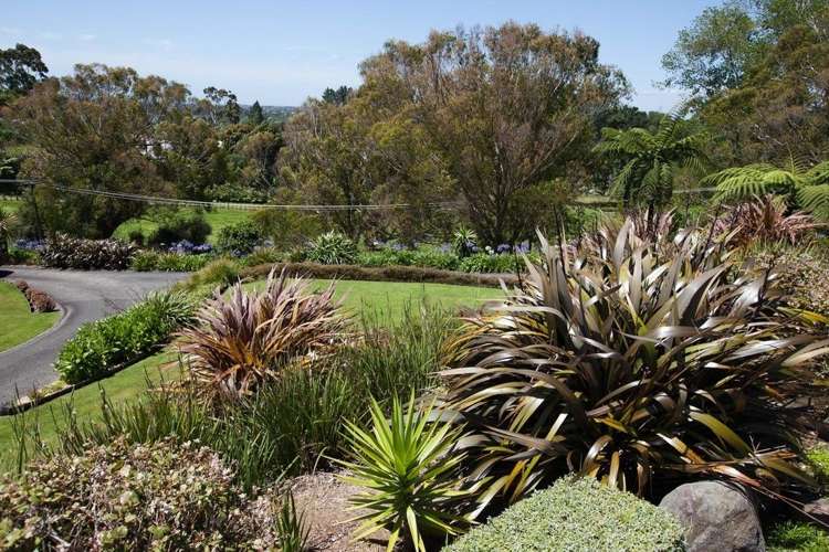 58b Veale Road Frankleigh Park_12