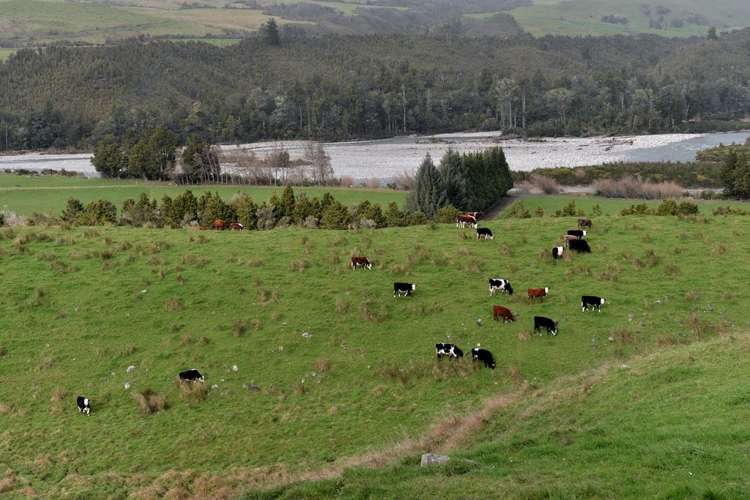 915 Aorere Valley Road Kahurangi National Park_6