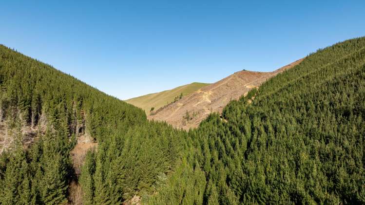 Motueka Valley Highway - Rabbit Gully Motueka Valley_6