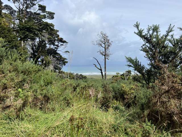 Stunning Barrytown Property with Sea Views and Endless Potential