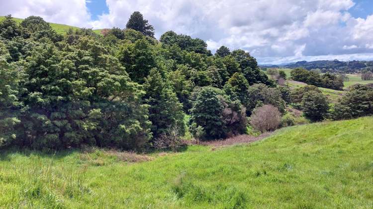 Lot/2 Wearmouth Road Paparoa_23