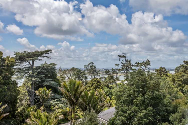 220 Hillsborough Road Hillsborough_6