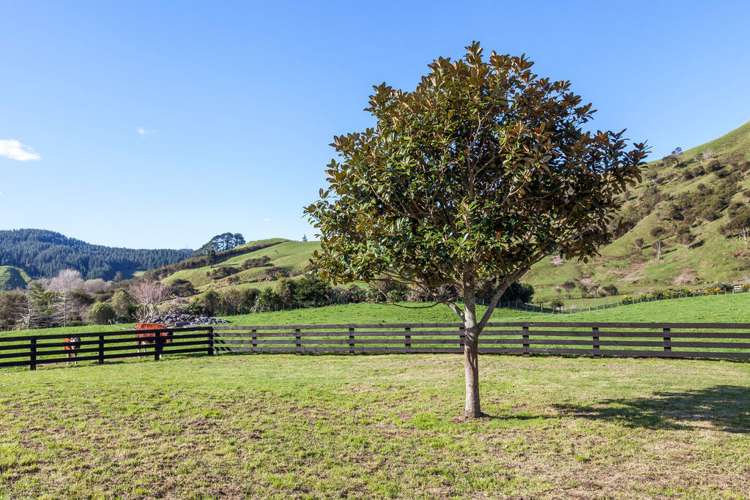 385 Wentworth Valley Road Whangamata_26