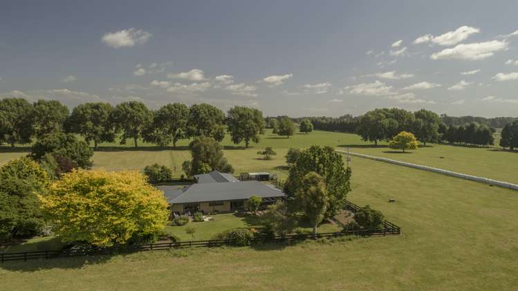 1258 Kaipaki Road Cambridge_0