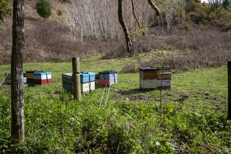 1207 State Highway 33 Okere Falls_24