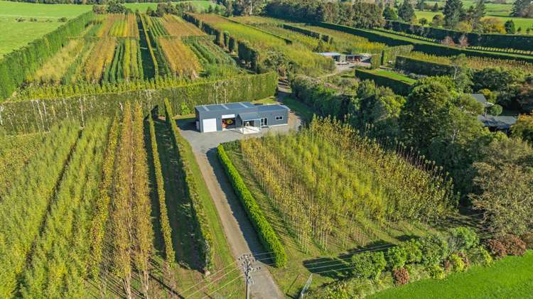 96 Engles Road Shannon_23