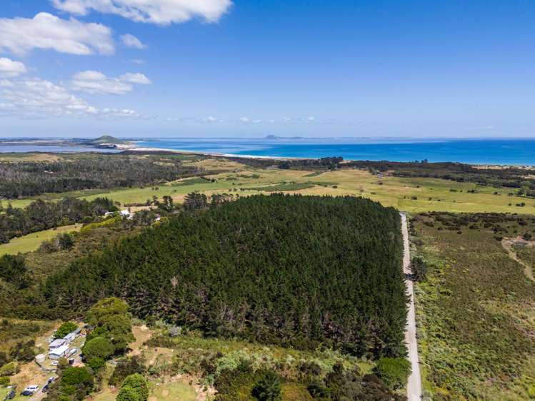 356 Matai Bay Road Karikari Peninsula_8