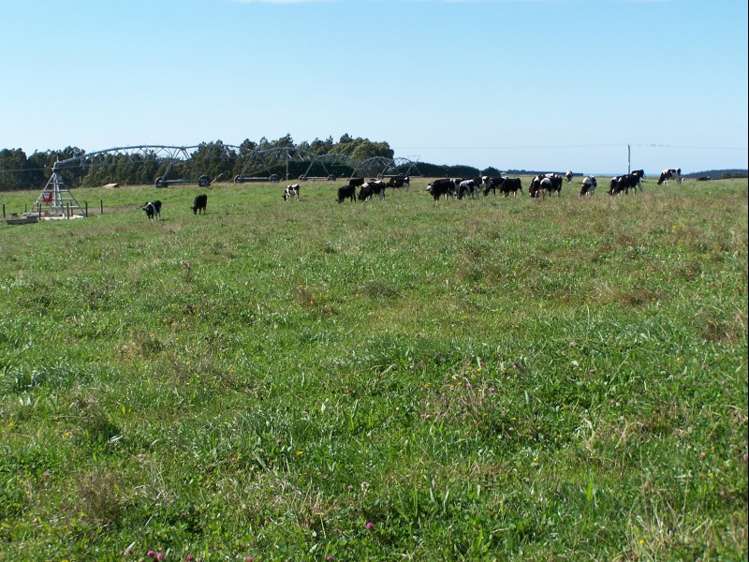 126 Happy Valley Road Maheno_8