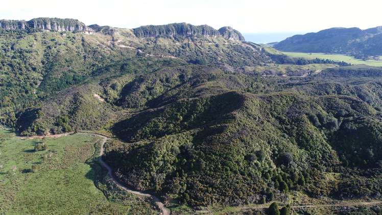 60 Snake Creek Road Kahurangi National Park_11