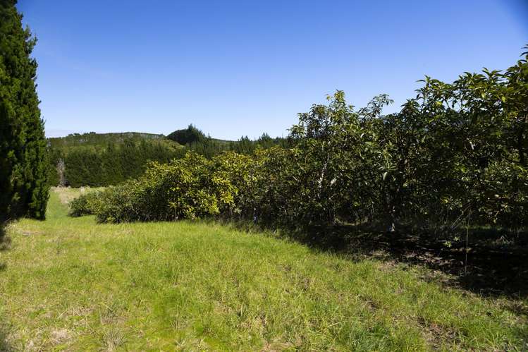 3146 Far North Road Pukenui_21