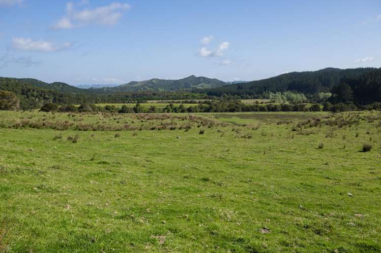 Waihua Valley Wairoa_13