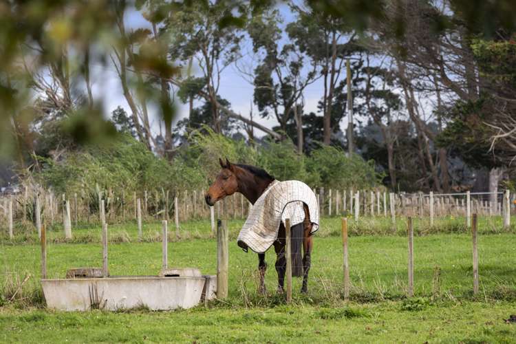 102c Clark And Denize Road Pukekawa_22