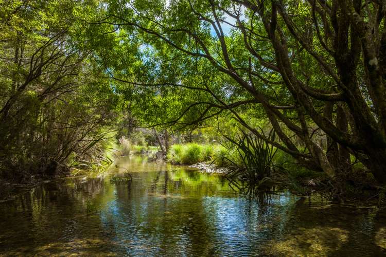 Lot 1 Nydia Bay Marlborough Sounds_7