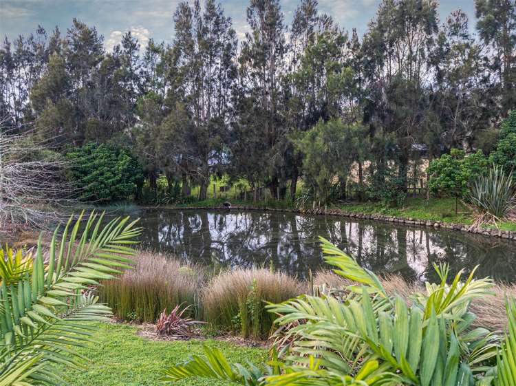 471 Coatesville-Riverhead Highway Coatesville_30