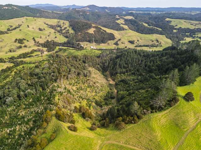 1 Omaunu Road Kaeo_2