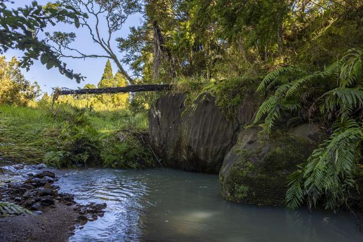 1238 Fern Flat Road_5