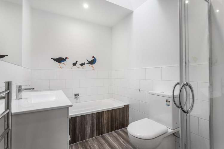 31 Seddon Street Sydenham_12