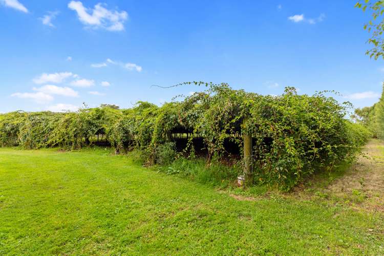 726 Old Coach Road Pongakawa_24