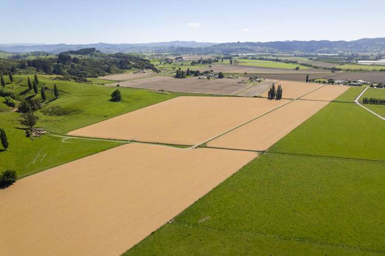 Lavenham Road Waituhi_4