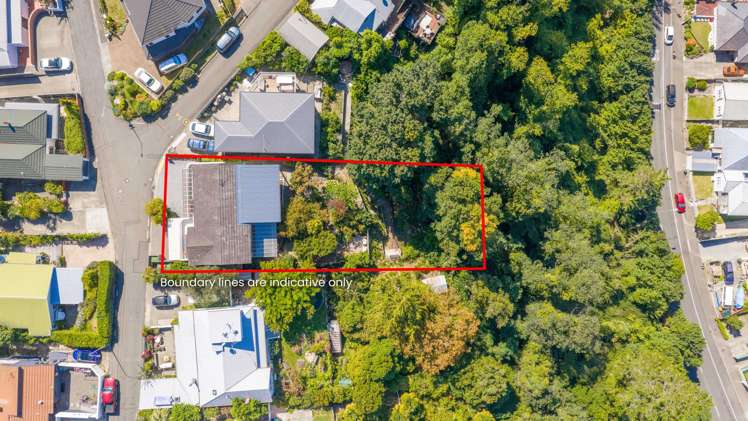 17 Roslyn Road Bluff Hill_25