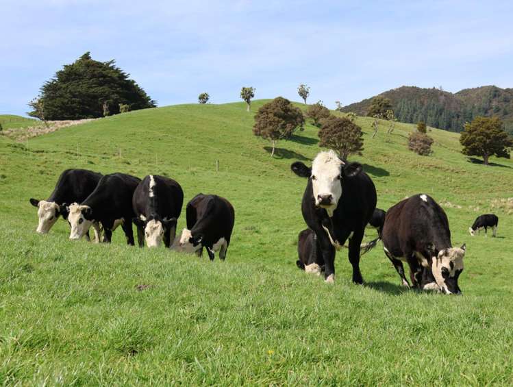 98 Millstream Road_0