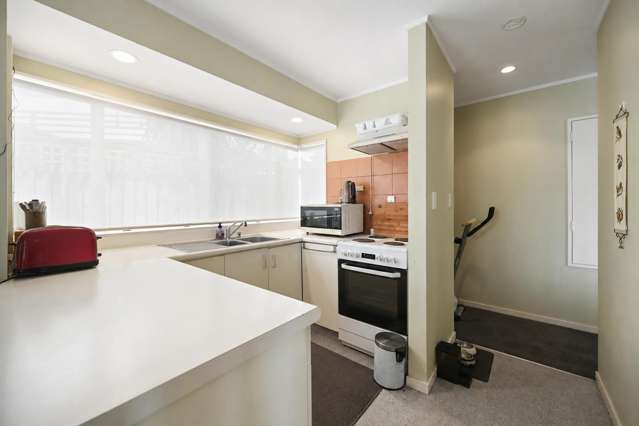 45B Livingstone Avenue Nawton_4