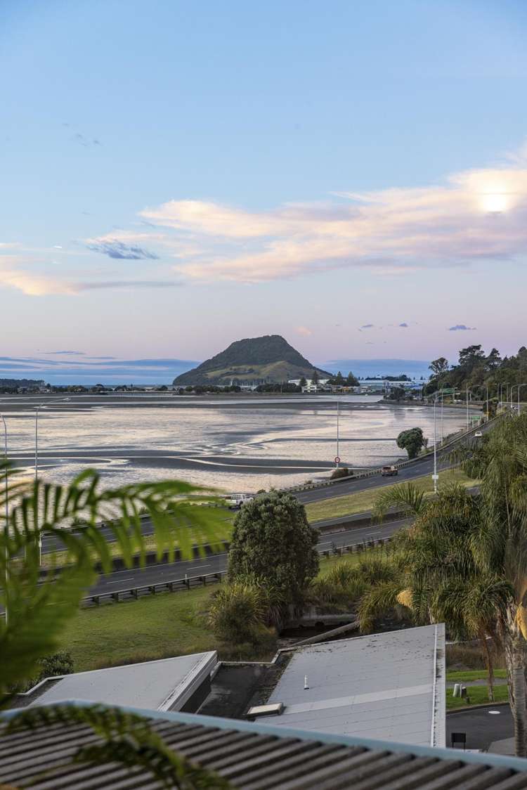 5/115 Fourth Avenue Tauranga Central_33