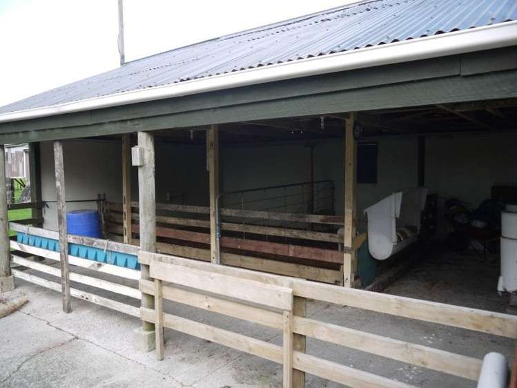 64 Otara Point Road Te Kopuru_11