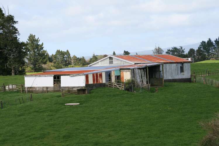 828 Hursthouse Road Inglewood_20