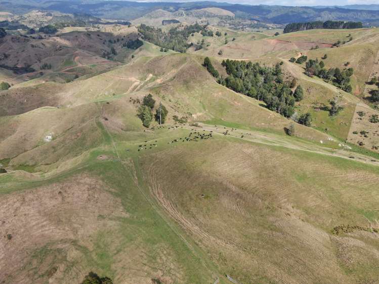 1026 Limeworks Loop Road Karamu_15