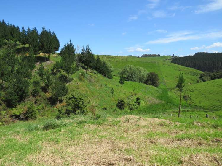 289 Franklin Road Paparoa_21