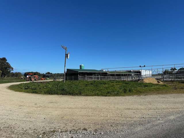 Karamea Dairy – Strong Production & Infrastructure