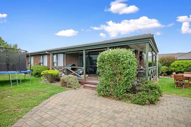 46 Raupo Street Bromley_1