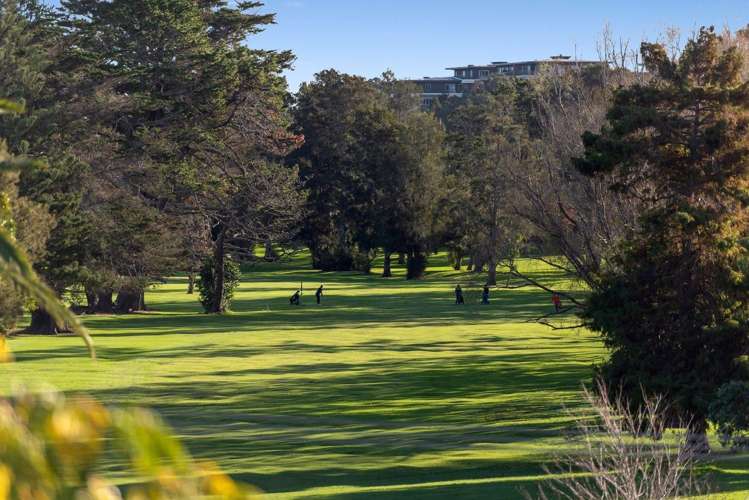 54 Wairoa Road Narrow Neck_12