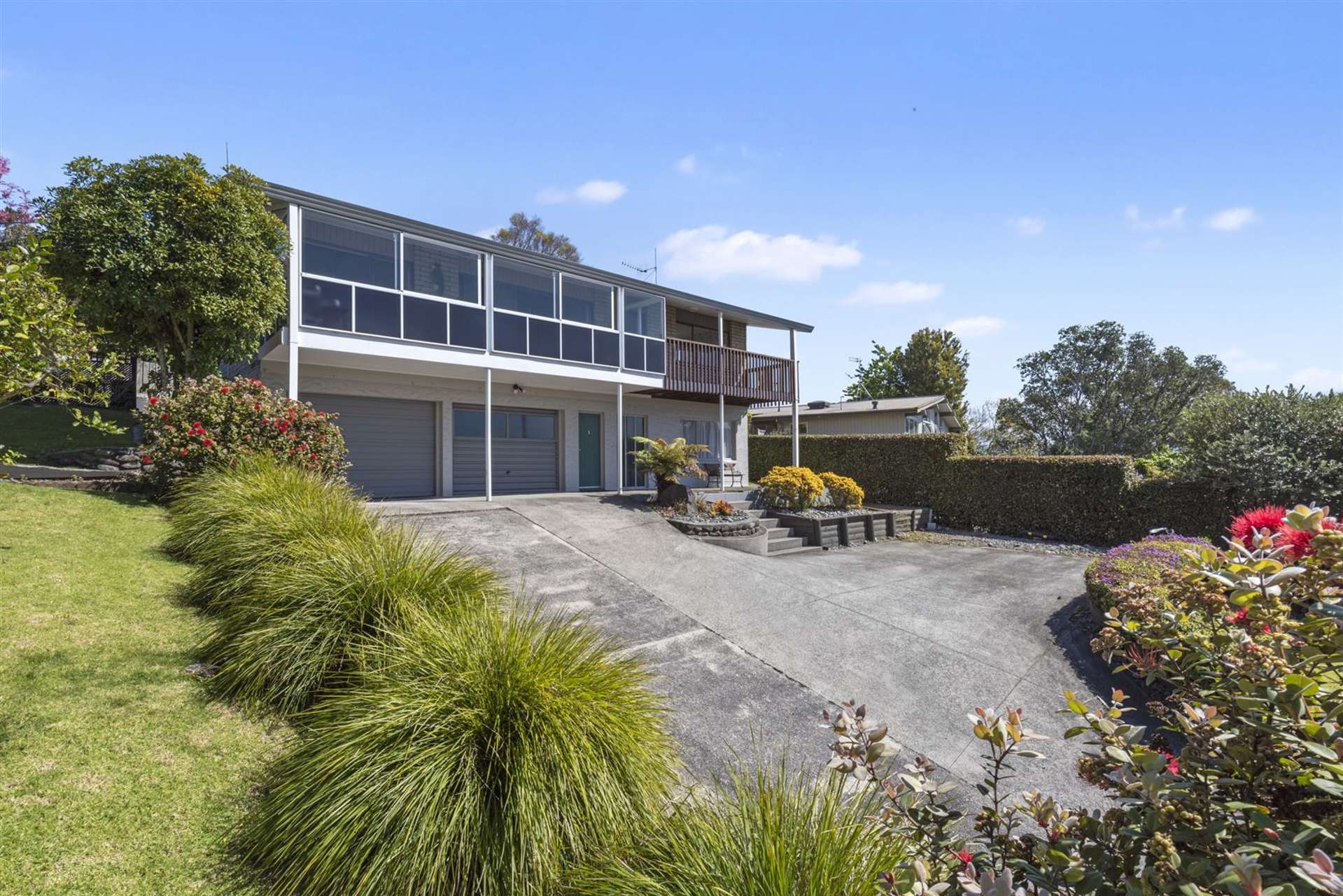 294 Waihi Road Judea_0