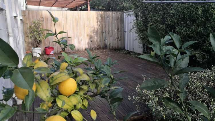 5/21 Aliford Avenue One Tree Hill_8