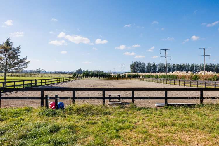 292 Kairanga Bunnythorpe Road Bunnythorpe_40