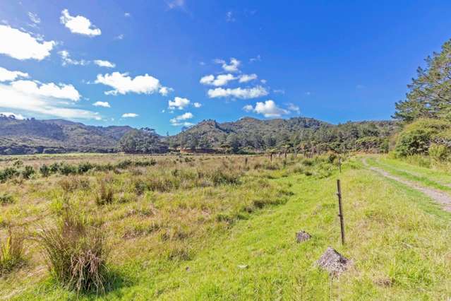 255 Gray Road Great Barrier Island (Aotea Island)_4